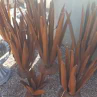 Rusted Metal Agave