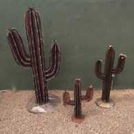 Rusted Saguaro Cactus