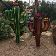 Painted Saguaros