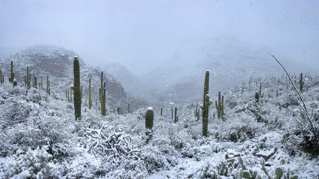 freezing Winter in sabino canyon